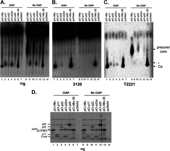 FIG 11