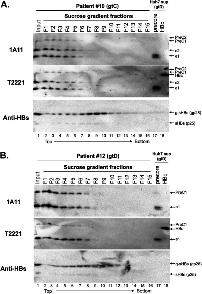 FIG 9