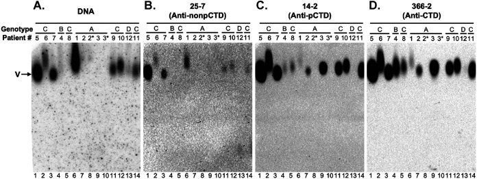 FIG 6