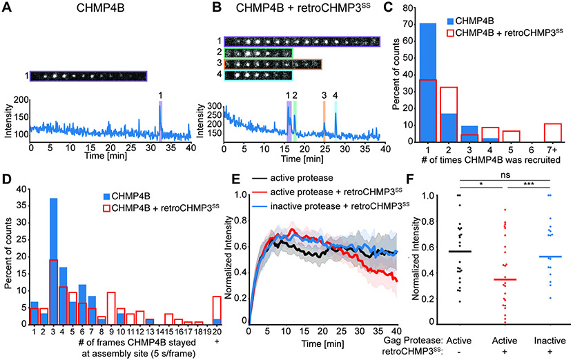 Fig. 4: