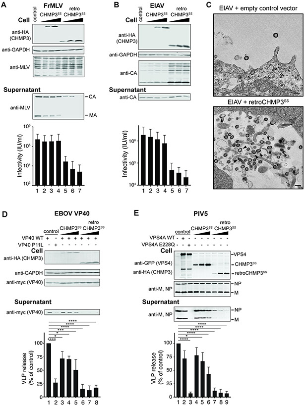 Fig. 2: