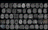 Extended Data Fig. 1 |
