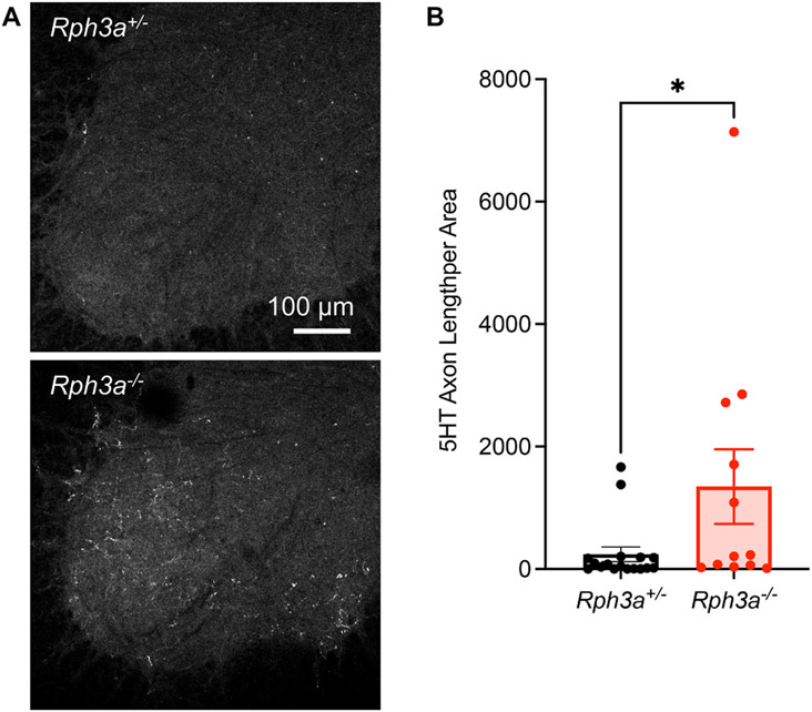 Fig. 9.