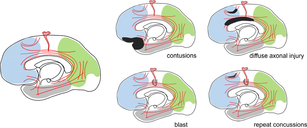 Figure 9.