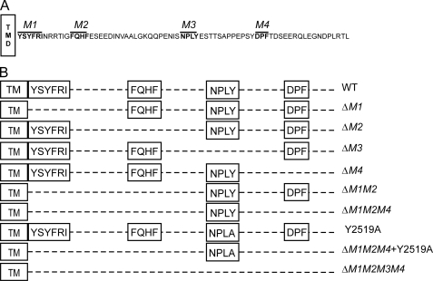 FIGURE 1.