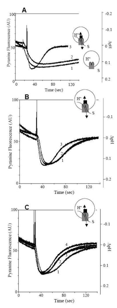 Fig. 5