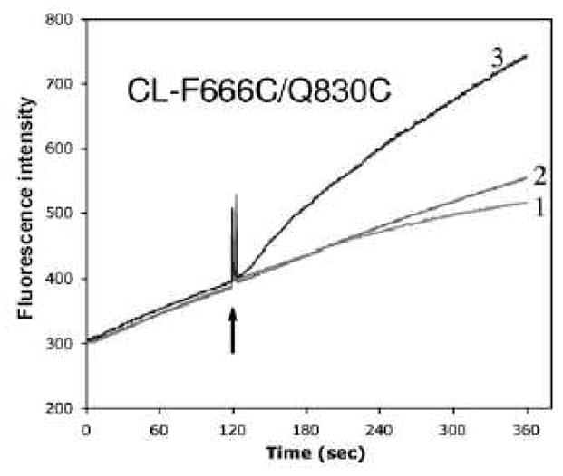 Fig. 12