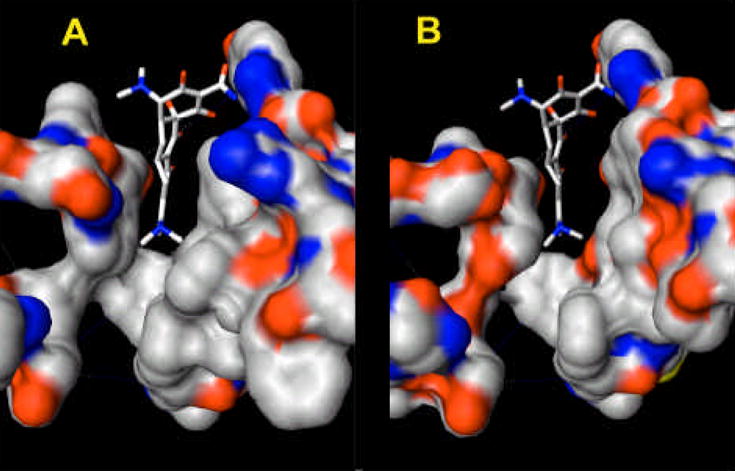 Fig. 10