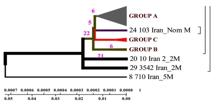 Fig. (3)