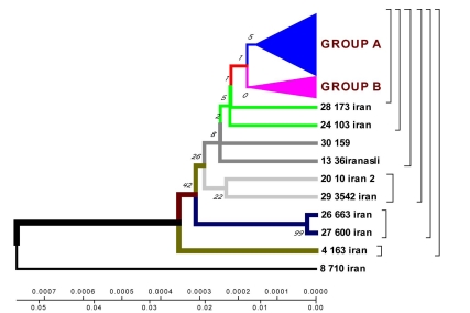 Fig. (5)