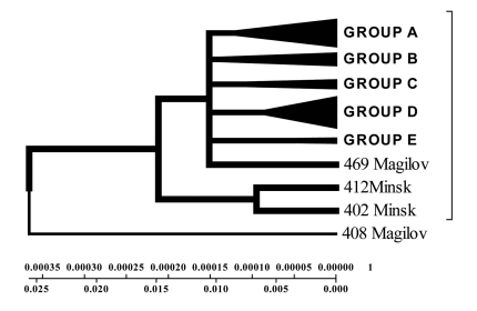 Fig. (8)