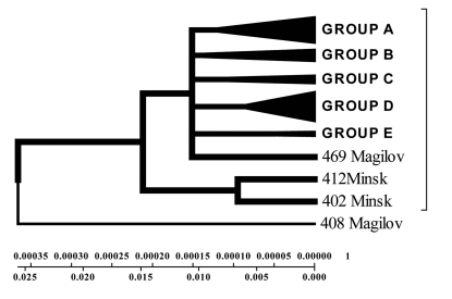 Fig. (9)