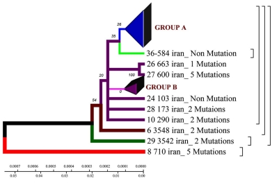 Fig. (1)