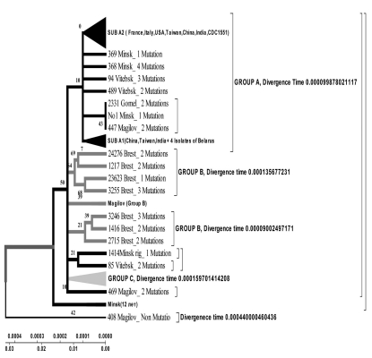 Fig. (7)