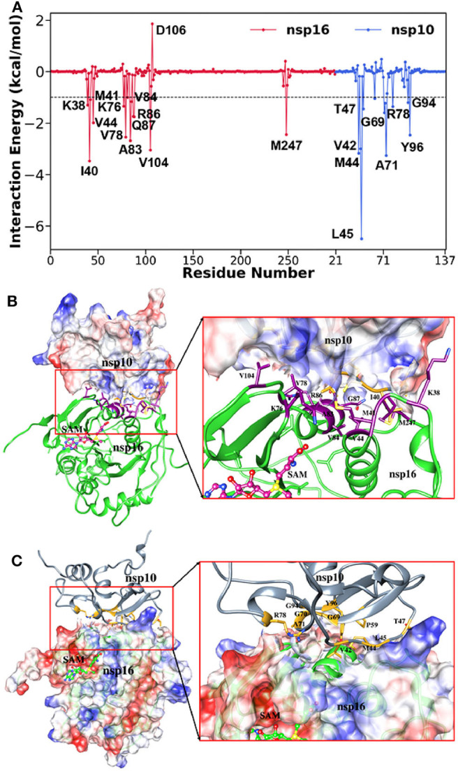 Figure 7