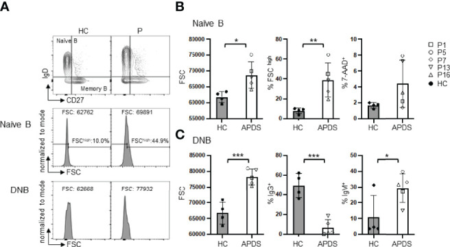 Figure 2