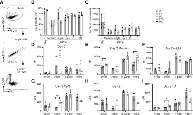 Figure 3