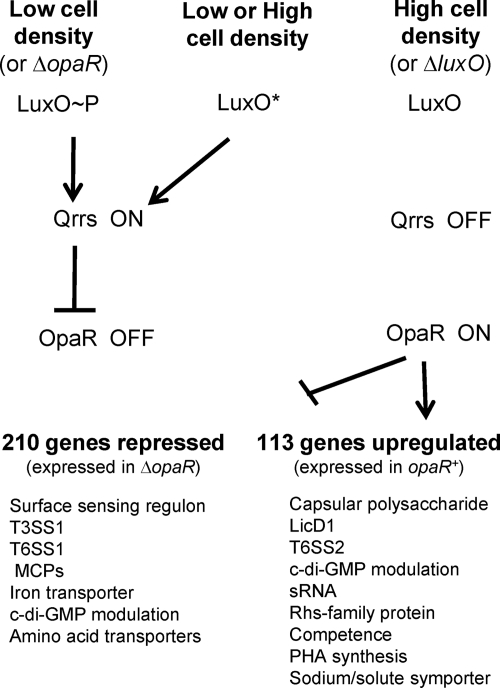 Fig. 8.