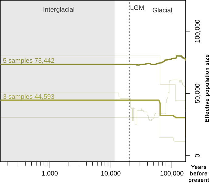 Figure 1—figure supplement 2.