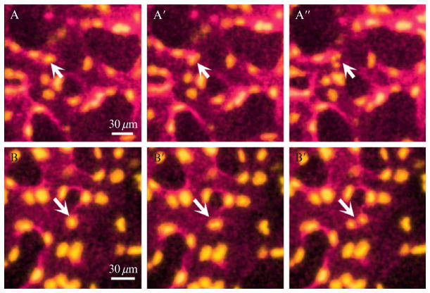 Figure 19.3