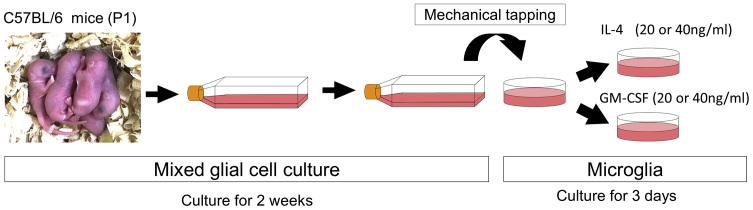 Figure 1