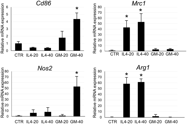 Figure 4