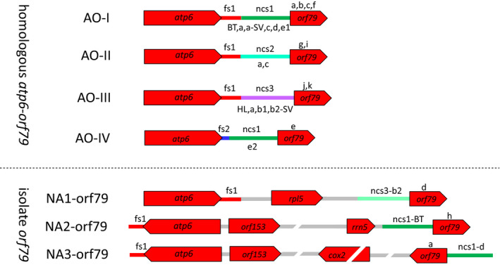 FIGURE 2