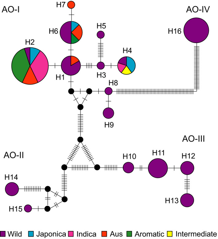 FIGURE 3