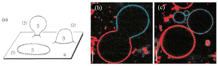 Figure 19