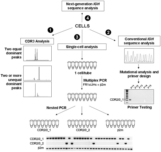 Fig 1