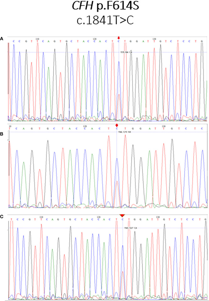 Figure 2