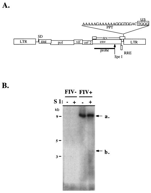 FIG. 1