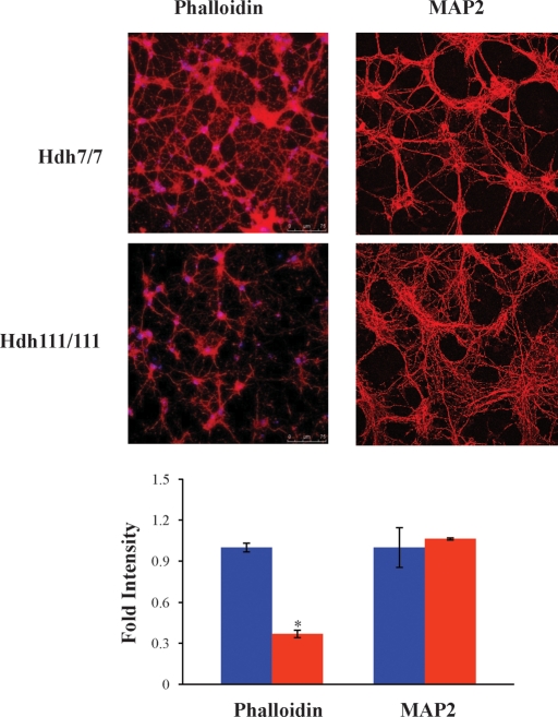 Figure 3.