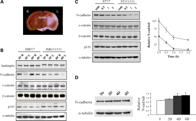 Figure 1.