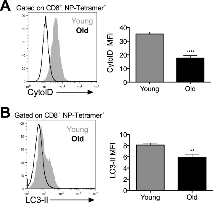 Figure 6—figure supplement 1.