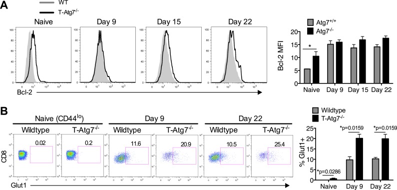 Figure 4—figure supplement 1.