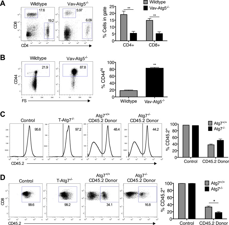 Figure 1—figure supplement 2.