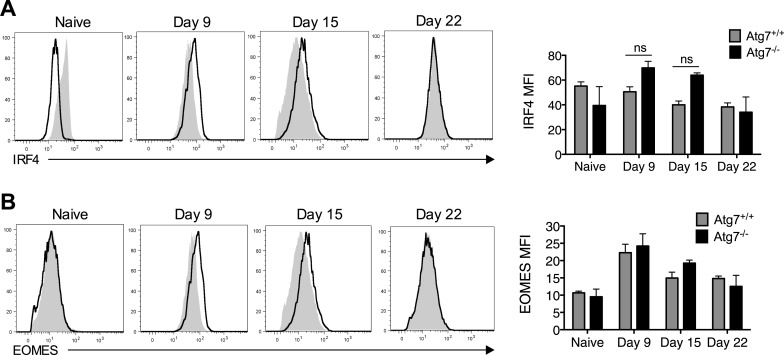 Figure 3—figure supplement 1.