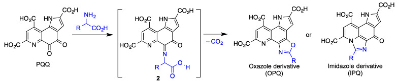 Figure 22