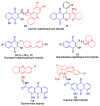 Figure 29