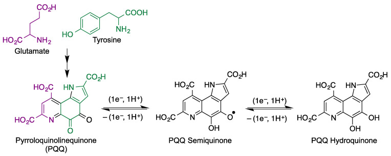 Figure 21