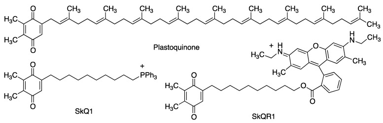 Figure 14