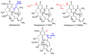 Figure 23