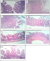 Fig 9