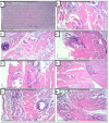 Fig 10