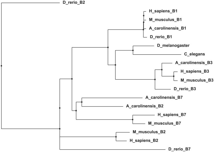 Fig. 10