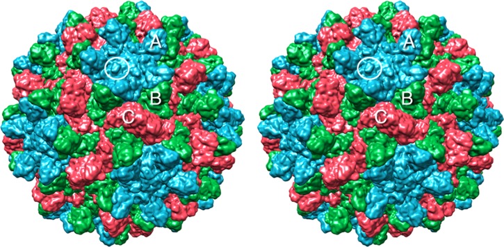 Fig 1