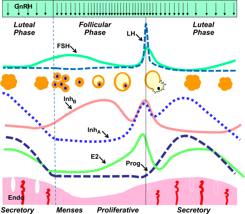 Figure 1 –