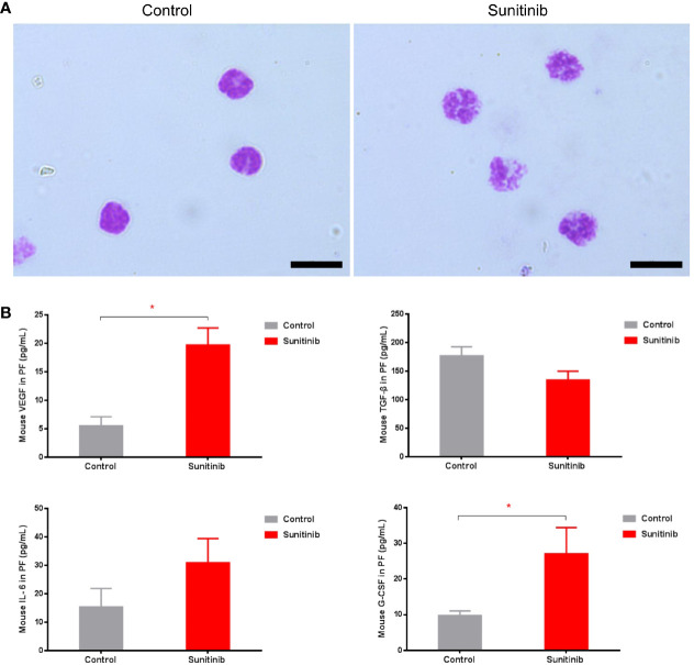 Figure 3