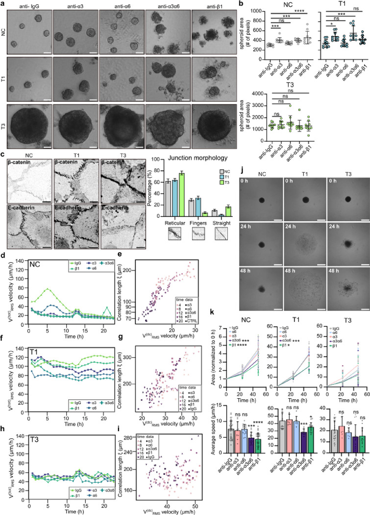 Fig. 4. |